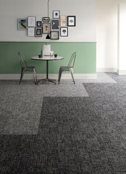 ECOS LX-2500 CREVICE