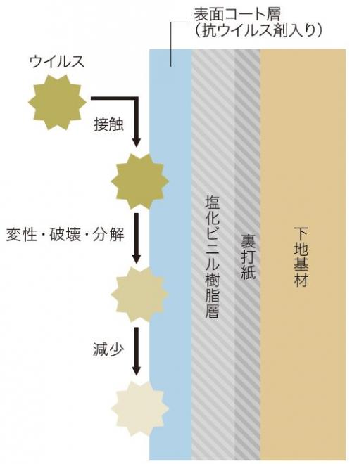 抗ウイルスのメカニズム