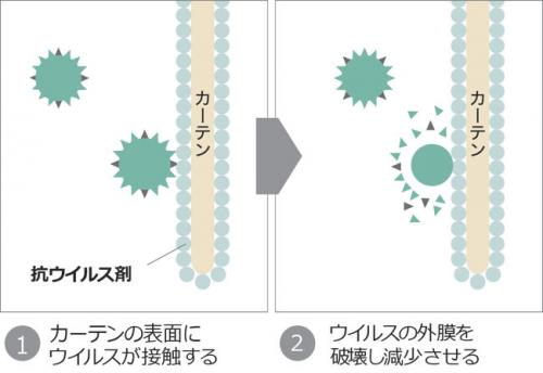 抗ウイルス加工のメカニズム