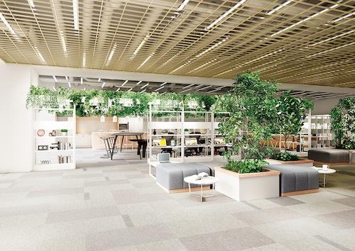 採光・環境・自由にフォーカスした“WELLNESS”なオフィスづくり