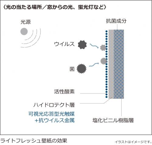可視光応答型光触媒作用により壁紙表面に活性酸素が発生。抗ウイルス金属とともに明時・暗時問わず有害なウイルスを抑制