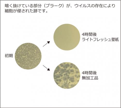 壁紙表面に付着したウイルスや細菌に効果を発揮