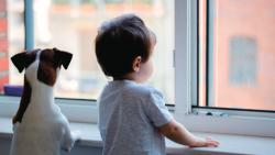 ループレスで安全性が向上