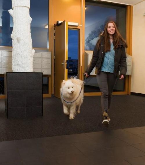 高吸水マット「アスワン・ロボウォーター」