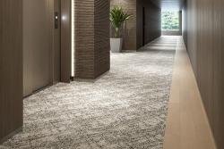 PanoramaCruise（パノラマクルーズ）